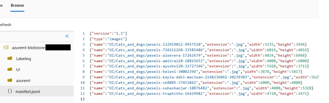 Manifest file structure