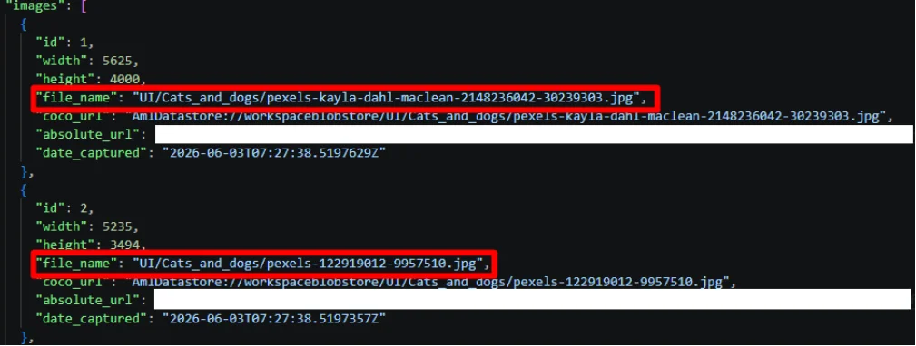 Annotation file with image paths