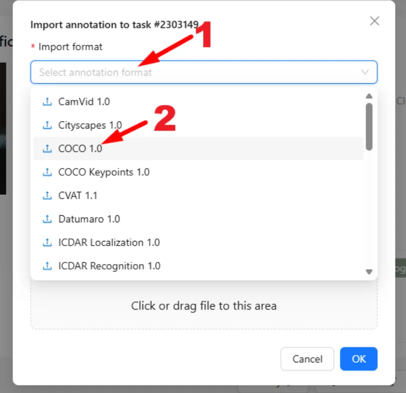 Selecting COCO 1.0 import format