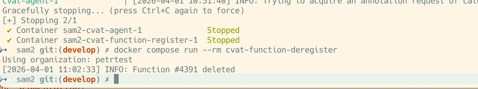 Deregistering the function