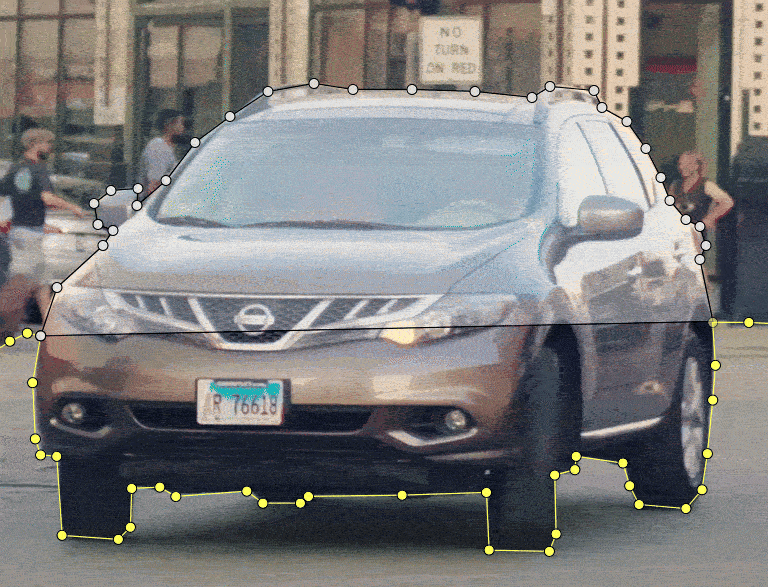 Example of annotation made with polygon and snap to contour option