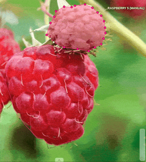 Snap to point feature example