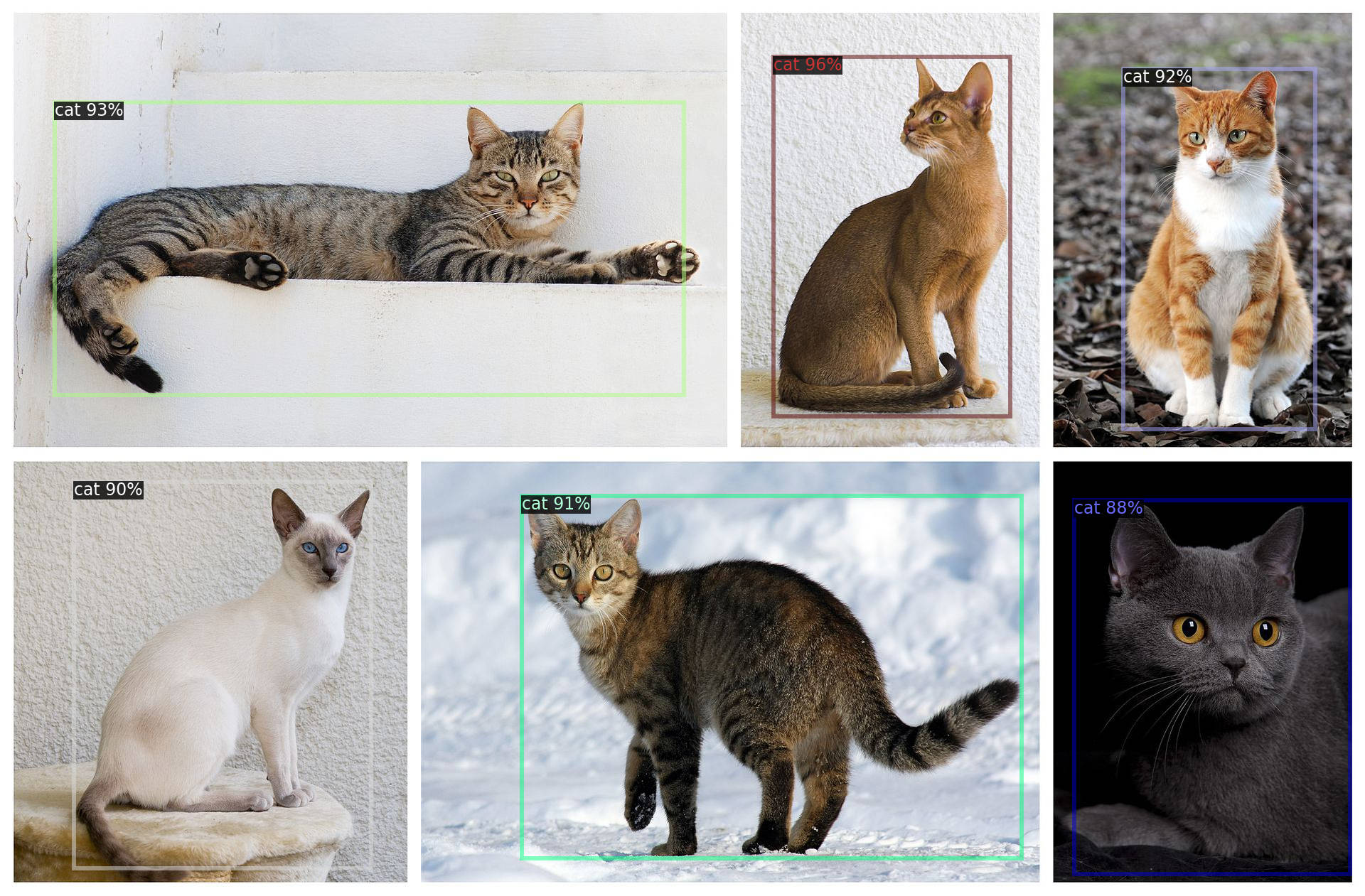 Cats detected by RetinaNet R101