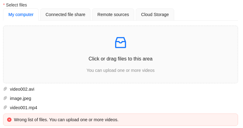 Wrong file format error in user interface