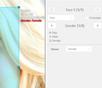 Example of assigning an attribute value in objects sidebar