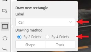 &ldquo;Draw new rectangle&rdquo; window with highlighted &ldquo;Label&rdquo; and &ldquo;Track&rdquo; options
