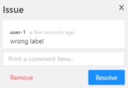 Example of &ldquo;Issue&rdquo; window with its settings