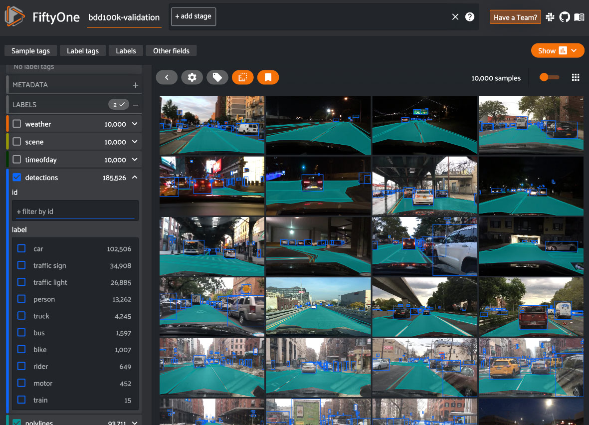 FiftyOne user interface with images for annotation and labels